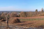 Einsatz Im Hakel 24 10x54hdrs