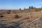 Einsatz Im Hakel 28 10x39s