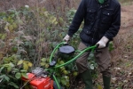 Einsatz auf der Bienenweide 8