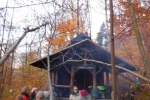 Wühlmaushotel 1