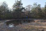 Amphibienteich-Malcher-Tanne-01-10x13s