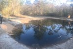 Amphibienteich-Malcher-Tanne-01-10x26s