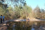 Amphibienteich-Malcher-Tanne-Uferabdeckung-mit-Filzmatten-05-10x21s