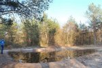 Amphibienteich-Malcher-Tanne-Uferabdeckung-mit-Filzmatten-08-10x20s