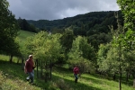 Steinkauzröhren Stettbacher Tal 01
