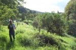 Steinkauzröhren Stettbacher Tal 08