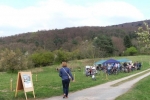 Kirschblütenfest 3