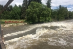 4 Rast am Wehr bei Huttenheim 4 10x13s