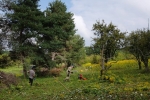 Bienenweide 6