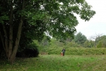Böckchenweide 2