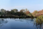 Hermelinweiher 2