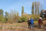Schafweiden 2