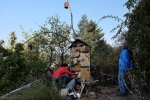 Turm der Tiere 6
