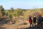 Wühlmausgarten 2