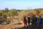 Wühlmausgarten 3