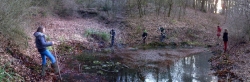 Feuersalamander am Wuehlmausweiher 2