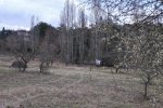 Steinkauzaktion-Malchen-01-10x14s