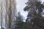 Steinkauzaktion-Malchen-02-10x13s
