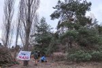 Steinkauzaktion-Malchen-15-10x13s