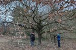 Steinkauzaktion-Malchen-22-10x12s