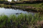 Hermelinweiher 2