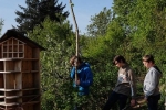 Turm der Tiere 1