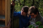 Turm der Tiere 3