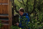 Turm der Tiere 5