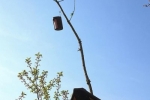 Turm der Tiere mit Vogelkasten 1