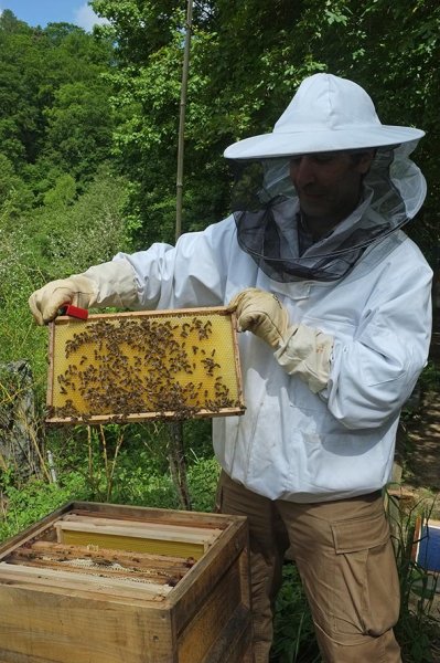 01 Bienenkurs Etzwiesen - Frischer Honig