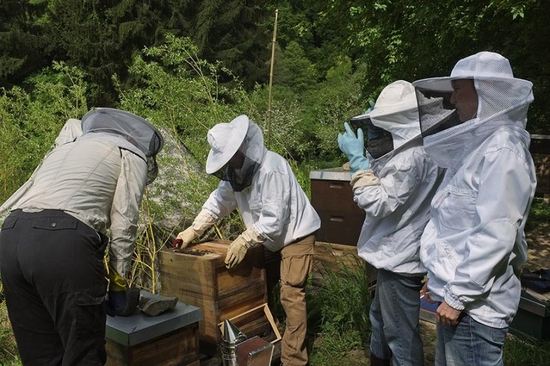 05 Bienenkurs Etzwiesen - Arbeit am Bienenvolk
