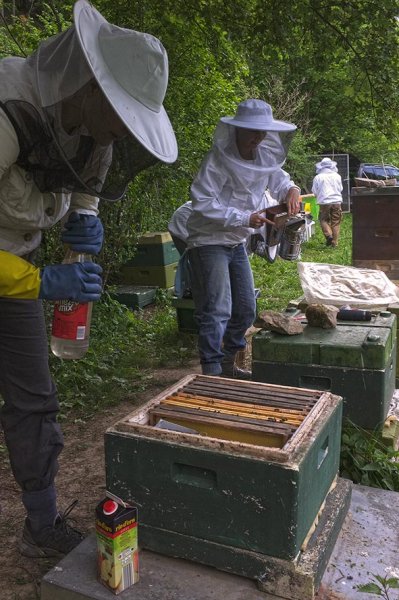06 Bienenkurs Etzwiesen - Fütterung Ableger