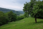 Kitzretter-Training Wallhausen 3