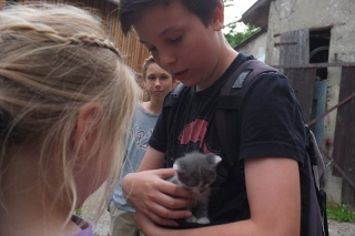Katzen knuddeln 1