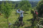 NABU-Kirschgarten-06-10x17s