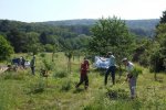 NABU-Kirschgarten-11-10x16s