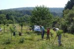 NABU-Kirschgarten-12-10x21s