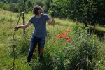 NABU-Kirschgarten-15-10x12s