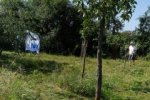 NABU-Kirschgarten-16-10x50s