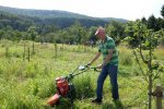 NABU-Kirschgarten-24-10x15s