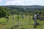 NABU-Kirschgarten-25-10x16s