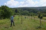 NABU-Kirschgarten-26-10x15s