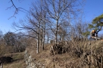 IMG_20190216_151822