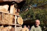 Turm der Tiere 08