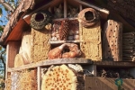 Turm der Tiere 02