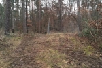 NSG Kalksandkiefernwald bei Seeheim - Holzwirtschaft 1