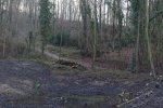 Pflanzaktion-Schöntalteich-02-10x26s