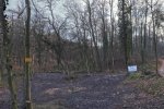 Pflanzaktion-Schöntalteich-14-10x29s