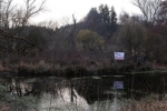 NAJU-Einsatz Froschtümpel am Berbach 06 10x30s