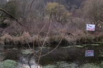 NAJU-Einsatz Froschtümpel am Berbach 12 10x35s